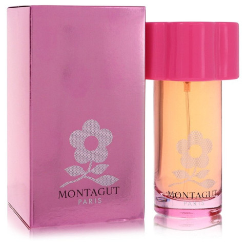 Montagut Pink - Montagut