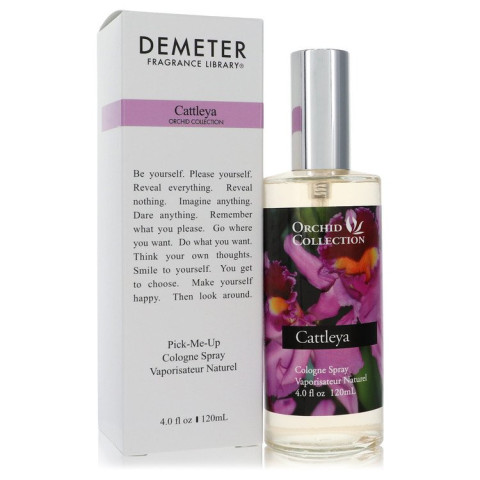 Demeter Cattleya Orchid - Demeter